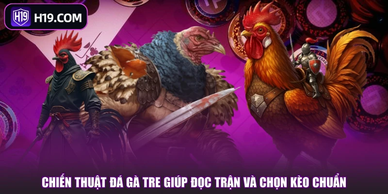 Chiến thuật đá gà tre giúp đọc trận và chọn kèo chuẩn