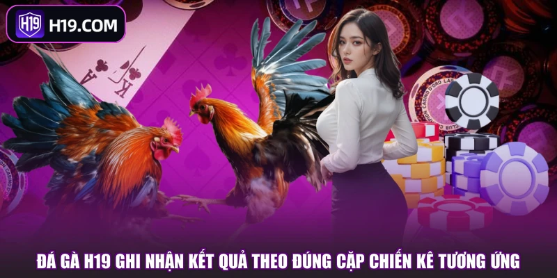 Đá Gà H19 ghi nhận kết quả theo đúng cặp chiến kê tương ứng