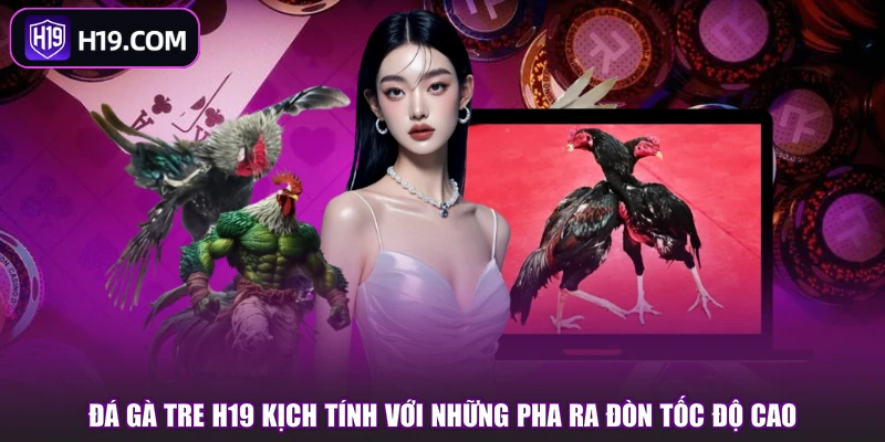 Đá gà tre H19 kịch tính với những pha ra đòn tốc độ cao