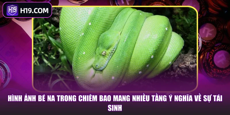 Hình ảnh bé na trong chiêm bao mang nhiều tầng ý nghĩa về sự tái sinh