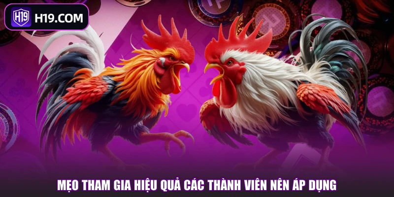 Mẹo tham gia hiệu quả các thành viên nên áp dụng