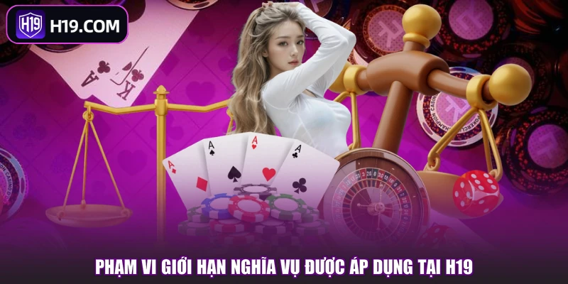 Phạm vi giới hạn nghĩa vụ được áp dụng tại H19